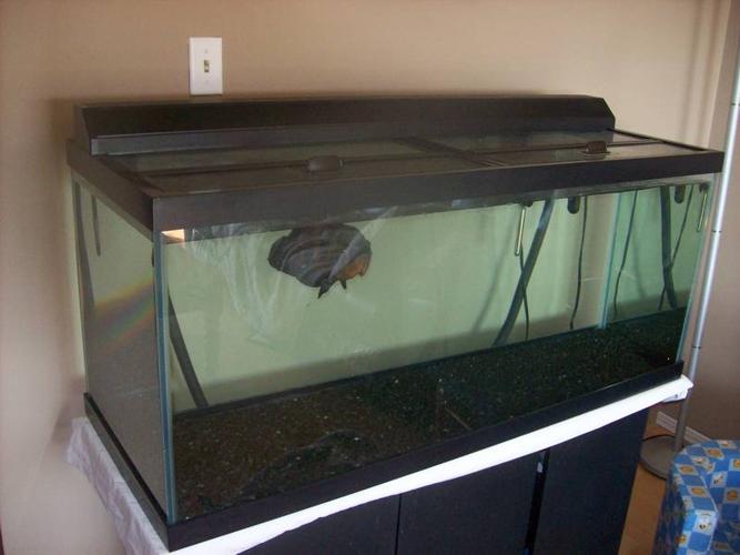 75 Gallon fish Tank for sale