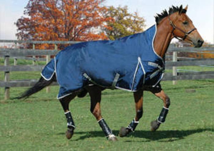 Brand New Winter Horse Blanket (78