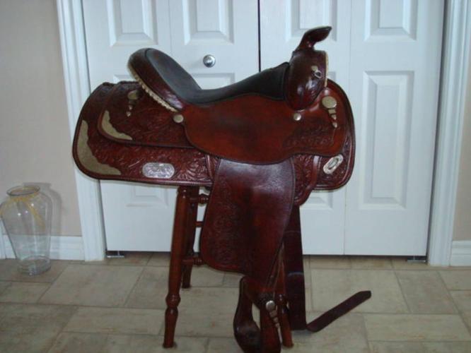 circle y equitation saddle