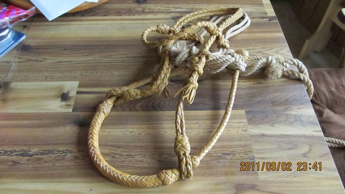 Leather Braided Bosal and Head Stall