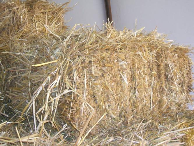 Oat Straw Square Bales For Sale In Crooked Creek Alberta Local Market Pets