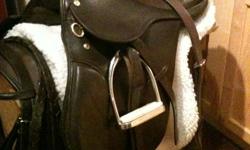 Excellent condition,16"English Saddle.Comes complete with leathers and irons,girth,martingale,bridle and pad.Great saddle for beginner.350.00 Reduced to 275.00,paid 600.00 for the package.