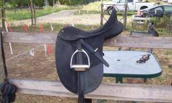 17.5 in. Isabella Werth Dressage Saddle in excellent condition, changeable gullet system and Cair panels, most comfortable saddle you will ever ride in!  I love this saddle but have mounting vet bills and must clear out some tack, Excellent price!  E-mail