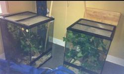 I have two Exo Terra terrariums for sale need gone asap I live in Alberta now and they are being stored in Peterborough Ontario. Price is firm
This ad was posted with the Kijiji Classifieds app.