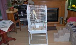 one is yellow and white ,the other is yellow  gray and white.
  Large cage on stand.