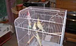 Two beautiful cockatiels one yellow and white, the other Gray yellow and white.
Large cage with floor stand.