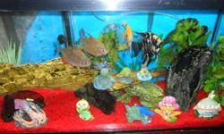 Includes:
 
glass fish tank
sturdy wooden stand (door opens  for storing fish supplies)
gravel
decorations
fish food
magnetic algae remover
2 aqua clear filters
submersible Jager heater
air pump
air rocks
florescent light
5 fish
 
Fish in the tank are:  2