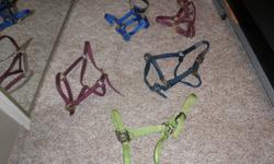 Assorted Halters for sale - various prices
 
Second Photo of Blue/Black top & Maroon $2.00 each
Both Average Horse
 
3rd Photo Purple halter - Average Arabian $5.00
 
4th photo - Blue Halter Average Horse $5.00
 
5th photo - Lime Green Weaver Halter -
