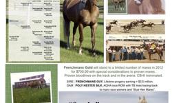 Son of Frenchmans Guy standing at stud to a limited number of approved mares the 2012 breeding season. Limited Book. Great confirmation and a wonderful disposition. Canadian Barrel Horse Incentive nominated.
