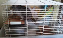 Im Selling My 2 year old Chinchilla with everything needed for taking care of it. This includes a cage, water bottle, food, hay, toys, and everything else.
The chinchillas name is Chi-Chi. He is a male and extremely well trained, and very friendly.
Please
