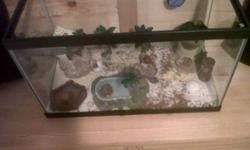 I have 2 Hermit Crabs that have a 10 gallon tank. they have lots of little accessories that cost a lot of money. It will come with the two crabs. it comes with sand, and a half bag of sand. A hut, a swimming pool, another water dish. It also comes with an