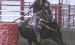 Kat is a 1D youth barrel horse, she has won many jackpots and High School Rodeos. She is fun to ride and has done it all. She is a great team penning horse, gymkhana and has been hazed off. She can be rode by any level of rider and does not get 'hot'.
