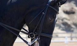 Bennville Equestrian Farm in Hagersville is a top class facility specializing in dressage training for imported and home-bred Hanoverians and warmbloods.
 
We are looking for a working student with previous horse experience.  Individual should have a