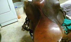 I have a 17.5 english saddle for sale. It wouldn't be suitable for showing or anything, but would be perfect for schooling or trail riding etc.