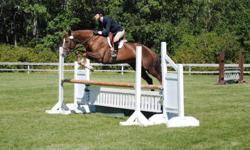 Etch A Sketch A.K.A. Zip Zap is a 1999 15.3hh chestnut 3/4 Paint 1/4 Thoroughbred mare. Shown to 3' in the hunter ring and loves the show atmosphere. Makes it down the lines with no problems, honest to fences. Has the potential to be shown higher in the