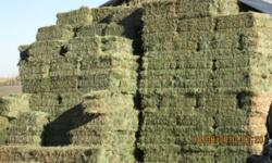 EXCELLENT HORSE HAY, mice mix of alfalfa, timothy and orchard grass approx. 1/3 of each.  NO RAIN.$6.00 /bale at stack min. 40 bales, delivery extra 160 bale min on deliveries. 403-975-4907 Airdrie
