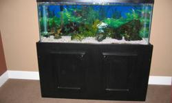 We have a 48 gal aquarium with stand for sale, comes with 3 fresh water fish, rock, ornaments, lighting, filter and all accessories.
