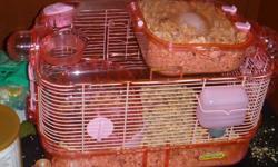 Hello i am selling my hamster. I got him about 3 or 4 months ago and when i got him the store told me he was only about 6 weeks old so he is only maybe 6 months old.
 
He comes with
-Cage (comes with wheel)
-Food and water holder
- Big bag of woodchips
