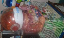 Male hamster plus accesories
-cages 
-tubes
-food
-shavings .etc.
 I'm asking 90 dollars or best offer