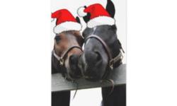 McGuire Stables "Holiday Open House"
 Stop by for a hot drink and holiday treats!!
Meet our wonderful lesson horses,
Meet "Emily"  our riding instructor and trainer,
"Savannah" our dressage coach and trainer,
"Jane" the "HEART  OF THE HORSE" equine