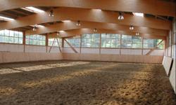 Equine City, home of GP Farrier Service and Supply Ltd., is conveniently located just 20 minutes North of Grande Prairie and only 10 minutes away from an Equine Veterinary Clinic. We are a small family operated boarding facility accepting a limited number