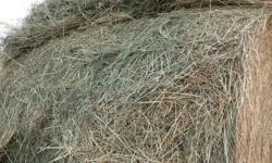 $40/bale and volume discounts available.  Premium horse hay, alfalfa, brome and mixed grasses.  NO RAIN.  Loading available.  11kms east of Crossfield, AB.