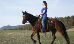 You can continue building a Respectful Responsive Relationship with your horse by learning even more about their language... and becoming more fluent in it, will help you win all the horses you handle faster than ever!
You too can win horses loyalty and