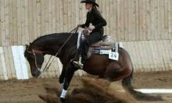 I offer training for all ages start to finish. My specialty is re-training for problem horses naturally.   
We're located in Chauvin, AB
I've been a reining trainer for the past 5 yrs in Czech Republic and I give riding lessons as well.
For more