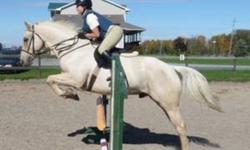 Hi, my name is Bria. I am 13 years old and an experienced rider. I love horses and I am very passionate about them! I have ridden for almost 7 years and I love all disciplines. I would rather lease an english horse that I could jump and show during the