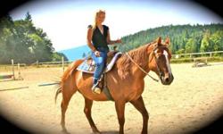 My name is Shawna-lee Maclennan and I am a trail/barrel rider who just came from Pender Harbour BC. There I previously leased a barrel racing QH gelding for two years. Previous to that I leased a mare for 1.5 years. When I leased these horses I would pay