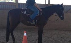 Hello I have a 4 year old tb gelding. I have medical problems that has made me move back home with my parents. I recently moved him to a barn just down the way from my parents but unfortunately the barn got foreclosed on. Right now I don?t have a lot of