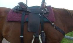I am selling my 14.5 inch saddle, it was made for pleasure or light roping. It would make a great saddle for a youth or small adult. It has Quarter Horse Bars and includes the matching breast plate and back cinch. The 30" cinch latigo and off side latigo