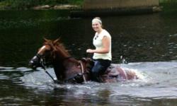 Registered Quarter horse mare 9 years old, 14.3HH, trained for gaming, a real pretty girl, awesome for trail rides, very willing, will go through anything (including thick bush, mud, water etc..) Very good with kids, up to date with EVERYTHING including
