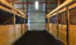 Large quantity of rubber matting available, suitable for flooring for horse stalls, complete barns, gyms, trailers, garage floors etc. Priced at 85 cents per square foot - MUCH cheaper than traditional 4'x6' mats and easier to use!
 
Matting comes in