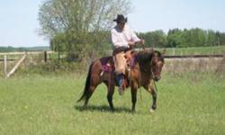 I have been training horses since 1997. Schooled by Hall of Fame Dave Manning and also using techniques from others that I worked with. Bring over your colt where they will learn to stop with back end, neck rein, roll backs, stand still when