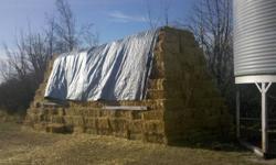 Square straw bales for sale (wheat straw).  $3.00 each.  Located between Wembley and Grande Prairie.  Will consider delivery on larger orders for extra cost.  Also have square hay bales as well - they are Brome/Timothy/Alfalfa mix.  $5.50 each on those -