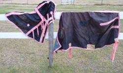 Picture 1 
?Show Case? Summer/Show Sheet w/hood 72? $30 
Picture 2 
Canvas Hay Bag $5 SOLD
32? Western Rope Cinch $5 
24?, 33?, 36? Neoprene Western Cinches $20/ea 
48? ?Airoform? Black English Girth $20 
51? ?Vala? Brown Leather English Girth w/elastic