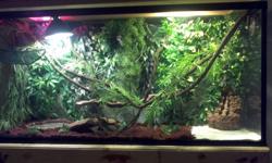 comes complete with a 75 gallon tank and tons of acceceries email me prtext me for pics 403 593 8513