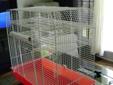 2 Free Gerbils to good home include cage, wheel and water bottle
