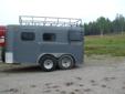 2006 miniature horse trailer