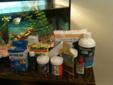 30 Gallon fish tank, accesories and 9 fish