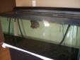75 Gallon fish Tank for sale