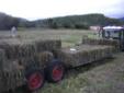 Hay for sale (Organic)