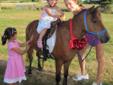 Laughing Stock Ranch is offering Perfect Kids Ponies for
