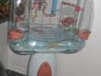Love birds with New Vision210 bird cage