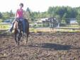 Sweet Black QH mare for sale