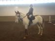 Wonderful kids horse, Make an offer before she starts showing!